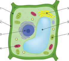 02016psh-39f3-231x206.png