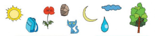 02016qru-8630-636x148.png