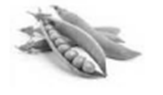 02016toe-b9d2-163x95.png
