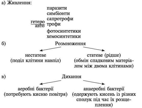 Біологія - Тур'я Полянська гімназія Тур'є - Реметівської сільської ради