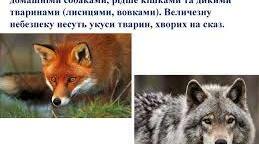 Укуси тварин. Отруєння
