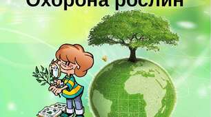НУШ Я досліджую світ "Охорона рослин (робота в групах)"