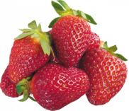 0201732z-205d-182x157.png