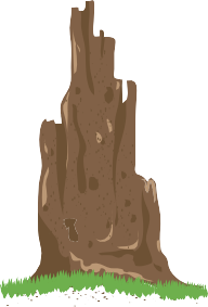 0201733x-9bc1-192x283.png