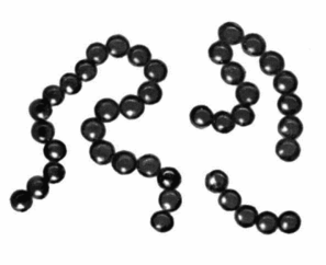 0201739s-150d-297x242.png