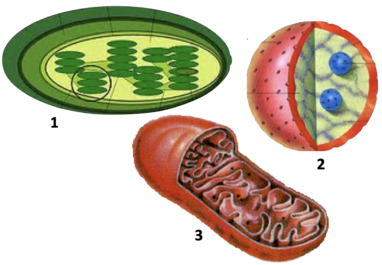 0201744q-9676-382x265.png