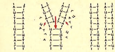 020175yt-4aee-391x179.png