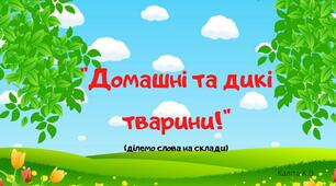 Презентація "Домашні та дикі тварини" (ділемо слова на склади)