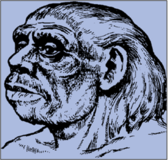 020176rj-a061-168x160.png