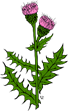 020177k7-638f-68x111.png