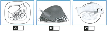 020178i8-34d1-378x109.png