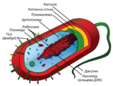0201795o-97cc-160x121.png