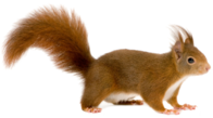 02017991-3ff9-196x109.png