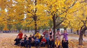 Презентація #16. Вікторина – Дискусія  «Пізнай себе, пізнай природу» , «Осінні забаганки».