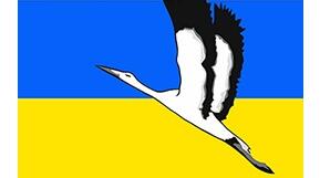 7 клас_Птахи