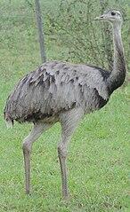 02017djg-7306-146x239.jpg
