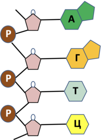 02017du1-3ffb-205x280.png
