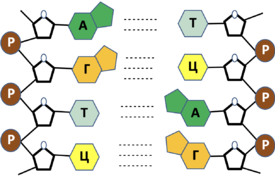 02017dw4-eaad-275x176.png