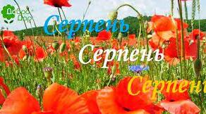 Серпень (народні прикмети)