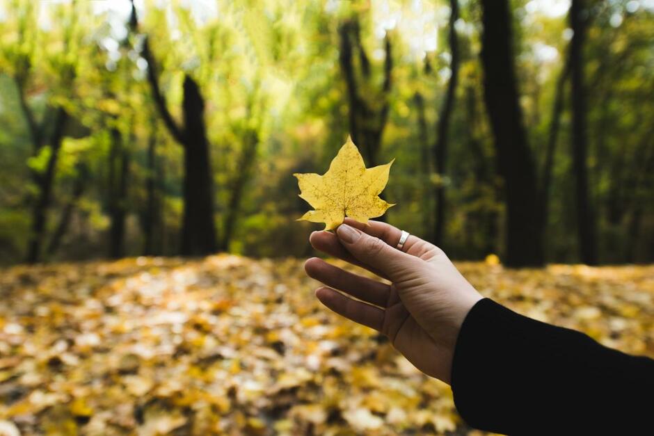 Сьогодні - День осінніх міражів / фото ua.depositphotos.com