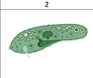 02017j26-9cf0-320x269.png