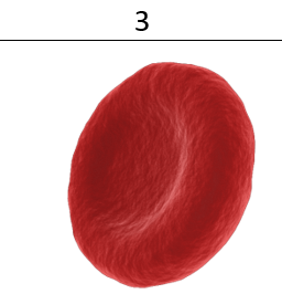 02017j28-8d86-256x266.png