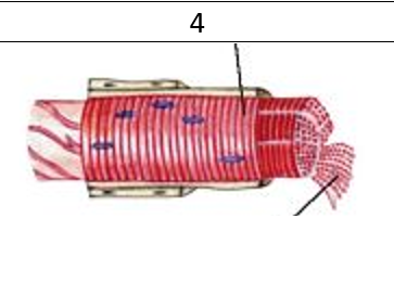 02017j2a-46d5-363x273.png