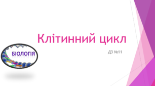 Клітинний цикл (ДЗ)