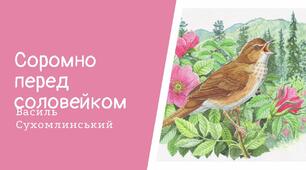 Презентація "Оповідання «Соромно перед соловейком»"