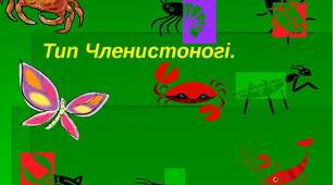 "Тип Членистоногі'
