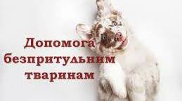 Виховна година "День захисту тварин"