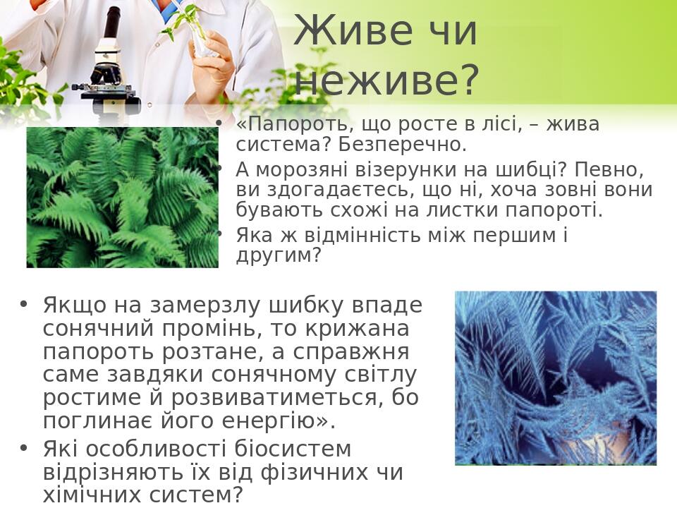 Живе чи неживе? «Папороть, що росте в лісі, – жива система? Безперечно. А морозяні візерунки на шибці? Певно, ви здогадаєтесь, що ні, хоча зовні во...