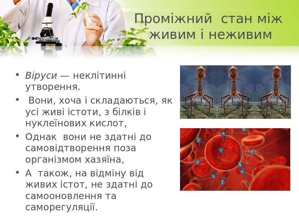 Проміжний стан між живим і неживим Віруси — неклітинні утворення. Вони, хоча і складаються, як усі живі істоти, з білків і нуклеїнових кислот, Одна...