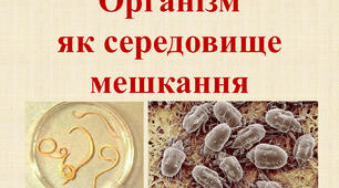 (Копія) Організм як середовище існування