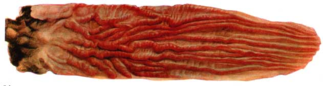 02017r27-2d1e-323x86.png