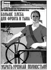 02017s3i-0969-175x239.png