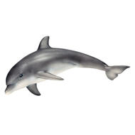 Ігрова фігурка Дельфін Schleich (14699)