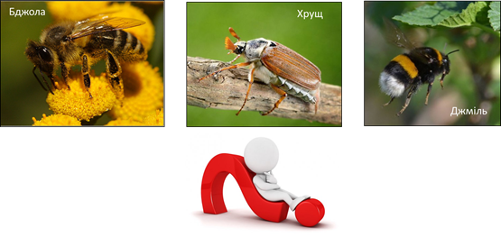 020180g6-8f8e-555x263.png
