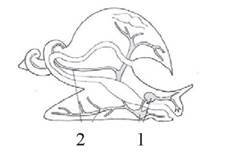 https://lifelib.info/zoology/zoology_1/zoology_1.files/image039.jpg