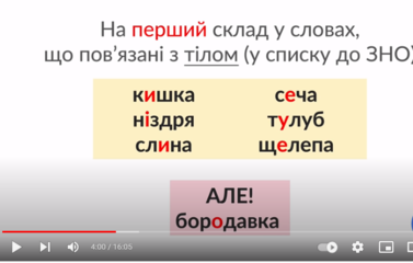 020182kg-09e7-377x240.png