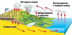 КРУГООБІГ ВОДИ, ЙОГО ОСНОВНІ ЕЛЕМЕНТИ ТА ЗНАЧЕННЯ » Допомога учням