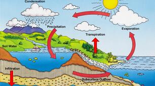 The water cycle (CLIL lesson)