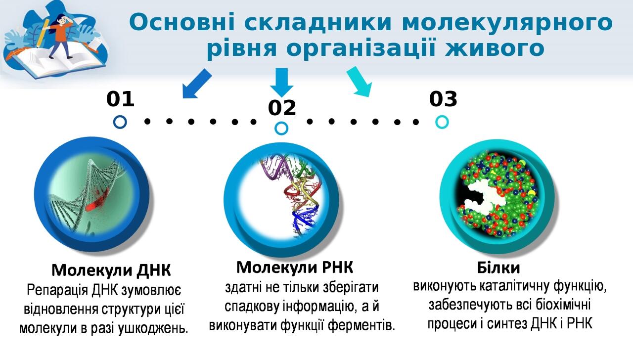 Основні складники молекулярного рівня організації живого 01 02 03
