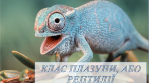 Презентація на тему "Клас Плазуни або Рептилії"