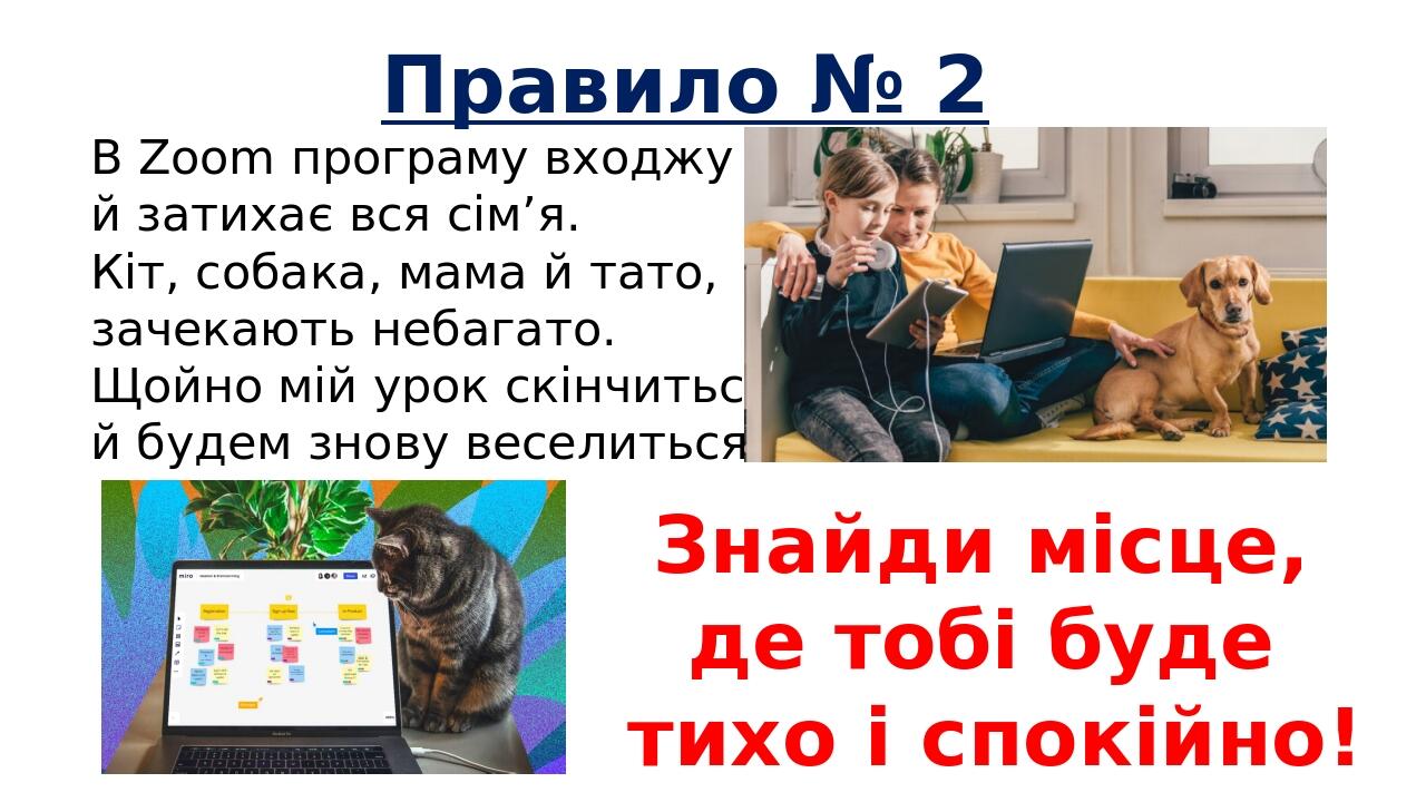 Правило № 2 В Zoom програму входжу я й затихає вся сім’я. Кіт, собака, мама й тато, зачекають небагато. Щойно мій урок скінчиться й будем знову вес...