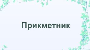 Прикметник. Варіант II