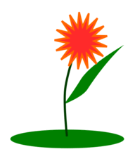 02018dpm-4012-192x219.png