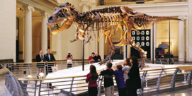 Learning in Museums | Harvard Graduate School of Education