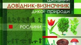 Тема: Робота з колекціями, визначниками
