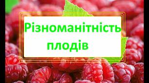 Матеріал до уроку "Будова і різноманітність плодів"